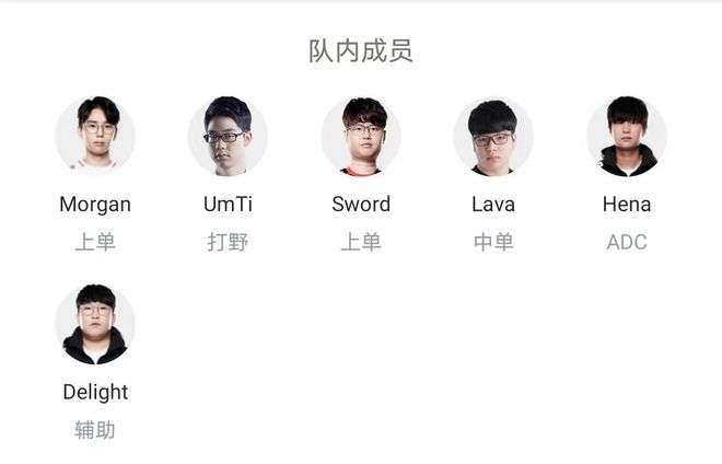 为职业拳击 为职业拳击